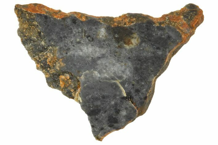 Lunar Meteorite ( g) Slice - Bechar #360549
